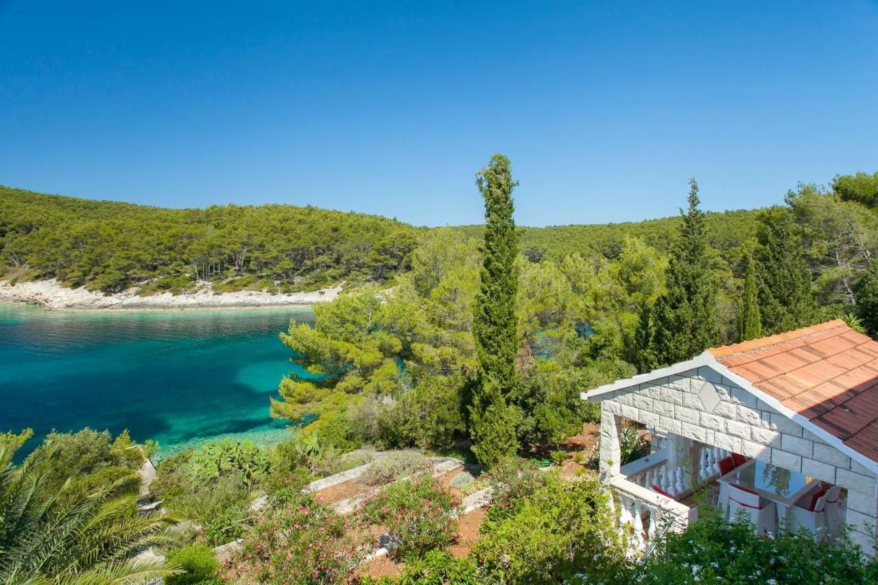 Waterfront Villa With Pool Vela Luka Buitenkant foto