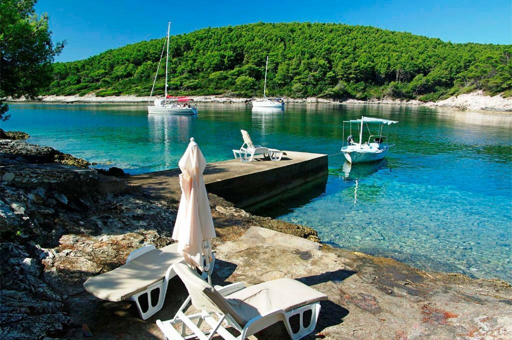 Waterfront Villa With Pool Vela Luka Buitenkant foto